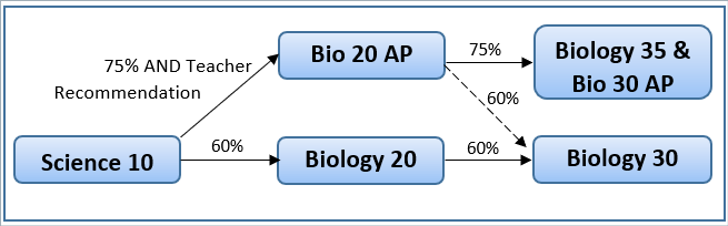 Bio AP sequencing